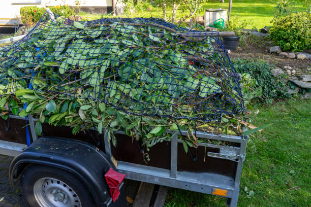 Best Residential Junk Removal  in Mabscott, WV